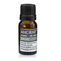 Salvia – Eteerinen öljy 10 ml