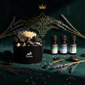 Kristallisetti + 3 eteeristä öljyä – The King Aromaterapia-lahjasetti